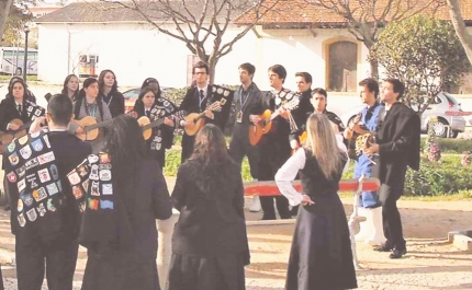 Município de Portimão vai abrir candidaturas a bolsas de estudo destinadas aos alunos do Ensino Superior