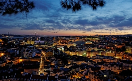 TOP 5 Melhores Locais em Portugal para Jogar Casino 