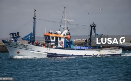 Pesca da sardinha proibida a partir de sábado