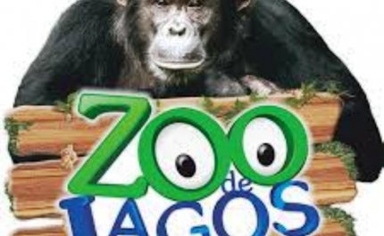 NOVOS EVENTOS EM BREVE NO ZOO DE LAGOS