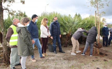 São Brás de Alportel assinalou o Dia Internacional da Floresta com sementes para o futuro