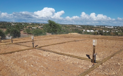 Albufeira: Abertas candidaturas para as hortas comunitárias da Quinta da Alpouvar