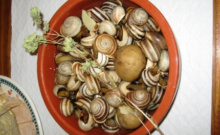 Rota do Caracol traça mapa do petisco em São Brás de Alportel