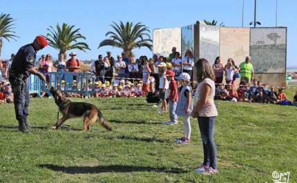Lagos assinalou o Dia Mundial do Animal com um programa recheado de iniciativas