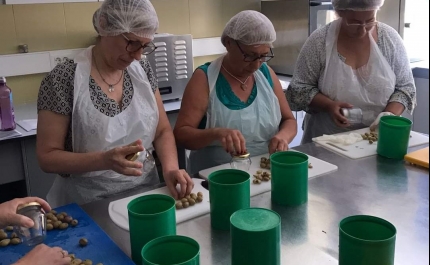  TRANSFORMAR PARA VALORIZAR OS PRODUTOS LOCAIS EM ALTE E SALIR