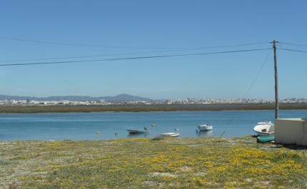 Moradores das ilhas da Ria Formosa protestam de barco contra demolições
