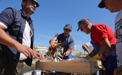 Recriação do ambiente da lota na zona ribeirinha de Portimão abre o apetite para o Festival da Sardinha