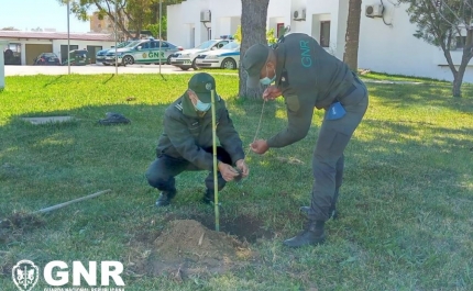 GNR de Faro celebra Dia da Floresta