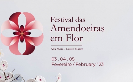 ESTÁ DE VOLTA O FESTIVAL DAS AMENDOEIRAS EM FLOR