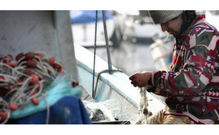 Ministério do Mar aumenta período dos apoios aos pescadores e armadores por paragem que resulte de obrigação estabelecida pelas autoridades de saúde