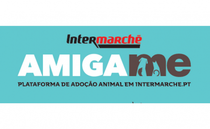 Intermarché lança Plataforma Amigame