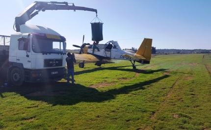 Incêndios: Sementeira aérea em Silves permite estabilizar solos após fogo de Monchique