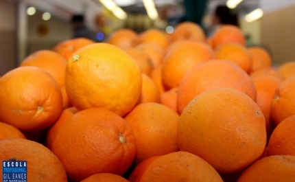 Mercado da Avenida S João de Deus volta a dedicar semana à laranja do Algarve 