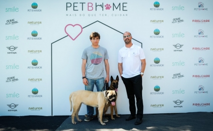 Plataforma digital «Pet B Home» combate abandono animal no Algarve
