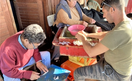 Portimão assinala Dia Nacional do Pescador, evocando a importância da comunidade piscatória de Alvor