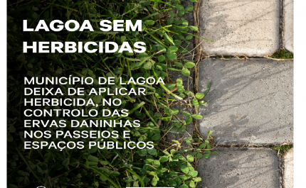 Município de Lagoa deixa de aplicar herbicida, no controlo das ervas daninhas nos passeios e espaços públicos