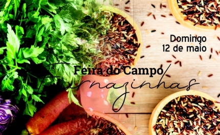 Feira do Campo em Furnazinhas 