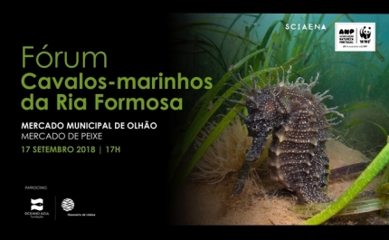 Fórum Cavalos Marinhos da Ria Formosa