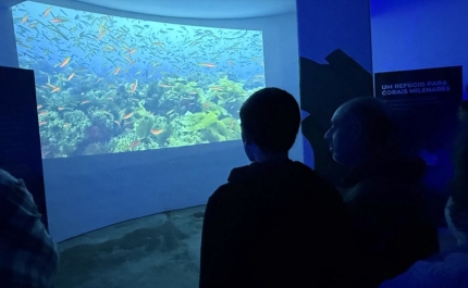 Festival das Florestas Marinhas reuniu ciência, arte e comunidade