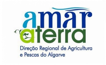 Xylella fastidiosa – redução da zona demarcada de Tavira revela bons resultados do trabalho conjunto da DRAP Algarve e DGAV, em estreita articulação com os operadores económicos
