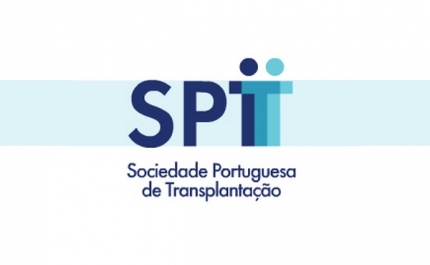 Portugal pode transplantar mais