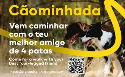 MAR SHOPPING ALGARVE PROMOVE «CÃOMINHADA» COM VERTENTE SOLIDÁRIA 