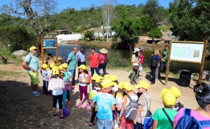 ESPÉCIE RARA DE BORBOLETA ENCONTRADA NA ESTAÇÃO DA BIODIVERSIDADE DA RIBEIRA DE QUARTEIRA  