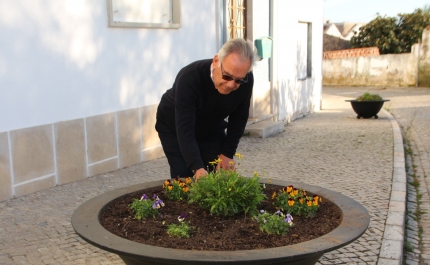 Município lança campanha de apadrinhamento de floreiras na vila