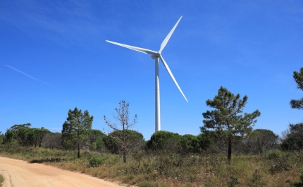 Câmara de Lagos aprova a criação do Conselho Municipal de Ambiente e Alterações Climáticas