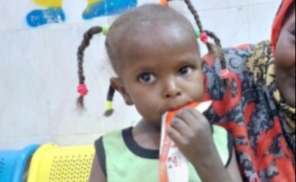 Mais de 122 milhões de pessoas vivem com fome desde 2019 devido a crises múltiplas, diz relatório da ONU
