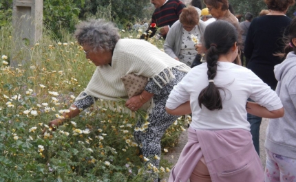 Albufeira comemorou Dia da Espiga  com Encontro de Gerações