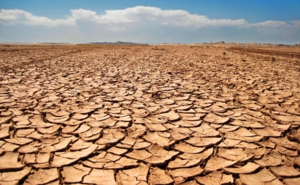 Seca: Se falta de chuva se mantiver no Algarve terão de ser tomadas medidas «mais difíceis» - AMAL