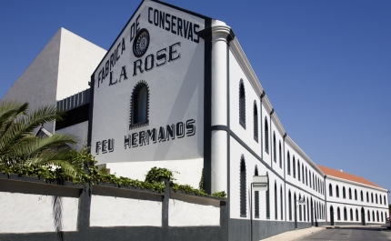 Museu de Portimão celebra 18 anos com marca histórica de 1,3 milhões de visitantes e programa dedicado à comunidade