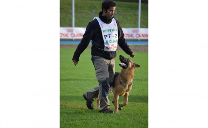 Equipa algarvia representa Portugal no «Campeonato do Mundo dos Pastores Alemães» 