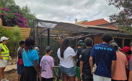 «São Brás Cuida» reforça intervenção social em São Brás de Alportel