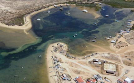 Mancha de espuma branca com três milhas atinge Ria Formosa