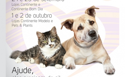  BANCO SOLIDÁRIO ANIMAL ALIMENTA MILHARES DE CÃES E GATOS 