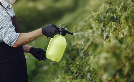 Agência Europeia do Ambiente apela à redução do consumo de pesticidas