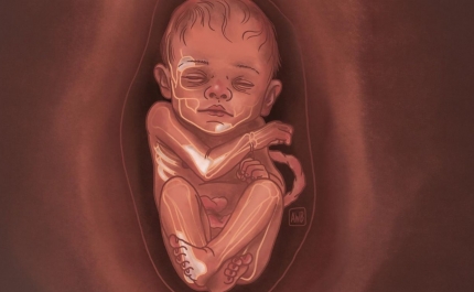 Novo estudo revela que Neandertais europeus descendem de uma única população