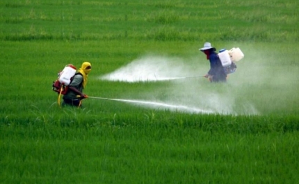 A mais rápida de todas as Iniciativas de Cidadania Europeia MAIS DE UM MILHÃO DE ASSINATURAS CONTRA O GLIFOSATO