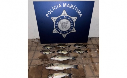 Polícia Marítima realiza ação de fiscalização no Parque Natural do Sudoeste Alentejano e Costa Vicentina