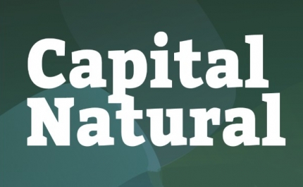 Investir em Capital Natural: NBI cria Guia de apoio aos investidores para o Município de Loulé