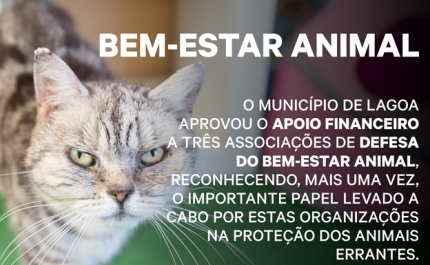 Município de Lagoa apoia associações de defesa do bem-estar animal