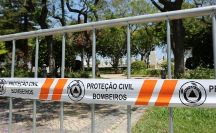 MUNICÍPIO DE PORTIMÃO VAI SUBSTITUIR ÁRVORES EM RISCO DE QUEDA NO JARDIM VISCONDE BÍVAR