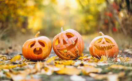 Domes Lake Algarve celebra a magia e a tradição do Halloween com programa exclusivo