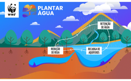  PLANTAR ÁGUA RENASCE PARA MELHORAR O CICLO DA ÁGUA NO ALGARVE