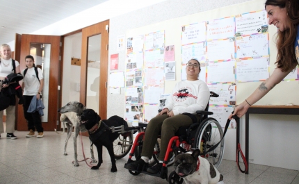 Animal Rescue Algarve Continua Esforços de Educar Gerações Futuras com à Visita Escola Secundária de Loulé
