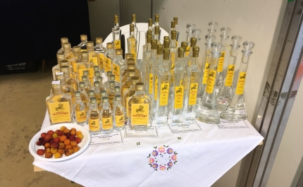 Feira da Aguardente e Mel mostra tesouros da Serra do Caldeirão