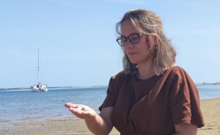 Genomas de cancros de bivalves têm instabilidade genómica não observada noutros cancros