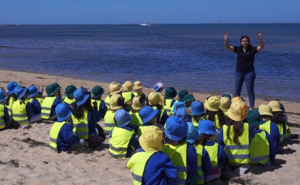 CIMA dinamiza visita pedagógica à Ilha da Culatra